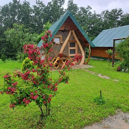 Gazela Bungalov 1 مويكوفاتش المظهر الخارجي الصورة