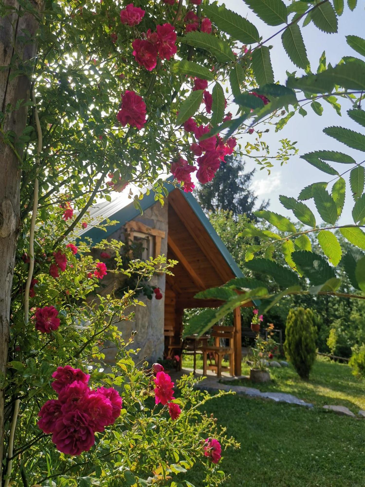 Gazela Bungalov 1 مويكوفاتش المظهر الخارجي الصورة